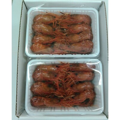 シマエビ1kg(60尾～80尾)