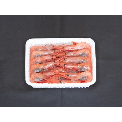 甘えび500g・シマエビ500gセット