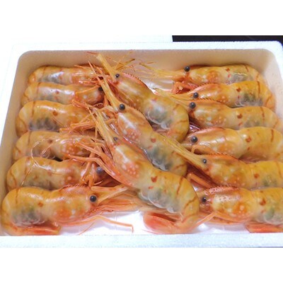 ジャンボボタンエビ1kg(10尾～20尾)