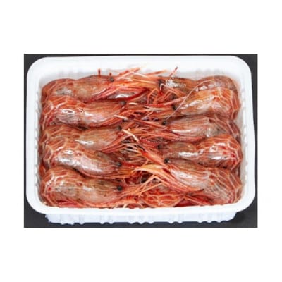 冷凍シマエビ　500g(約40尾)