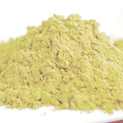 延岡産「徐福草(ヒュウガトウキ)粉末」100g
