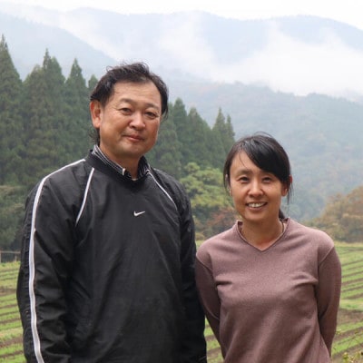 延岡産「徐福草(ヒュウガトウキ)粉末」100g