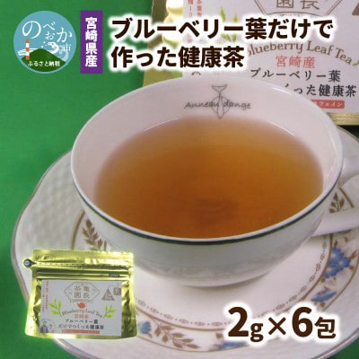 宮崎県産ブルーベリー葉だけで作った健康茶 2g×6包