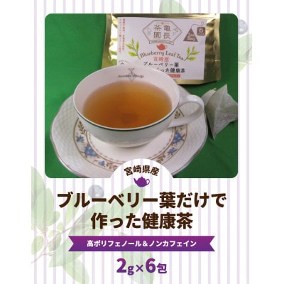 宮崎県産ブルーベリー葉だけで作った健康茶 2g×6包