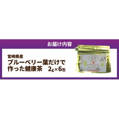宮崎県産ブルーベリー葉だけで作った健康茶 2g×6包