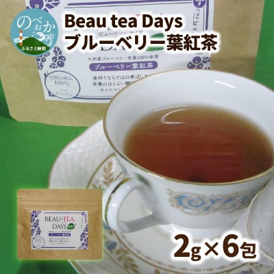 Beau tea Days ブルーベリー葉 紅茶　2g×6包