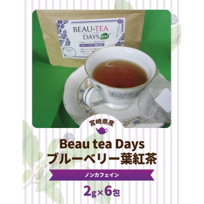 Beau tea Days ブルーベリー葉 紅茶　2g×6包