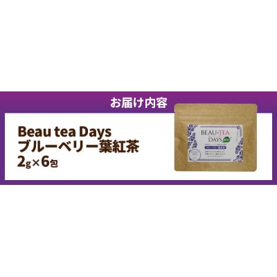 Beau tea Days ブルーベリー葉 紅茶　2g×6包