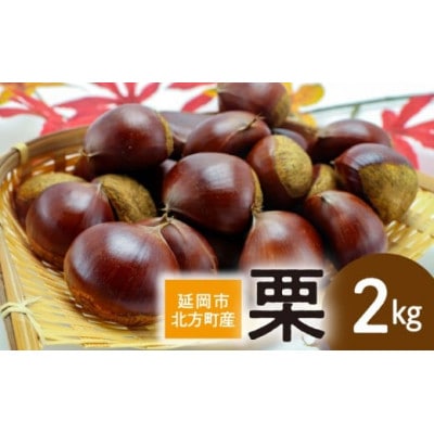 延岡市北方産 　栗2kg