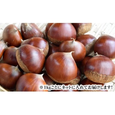 延岡市北方産 　栗2kg