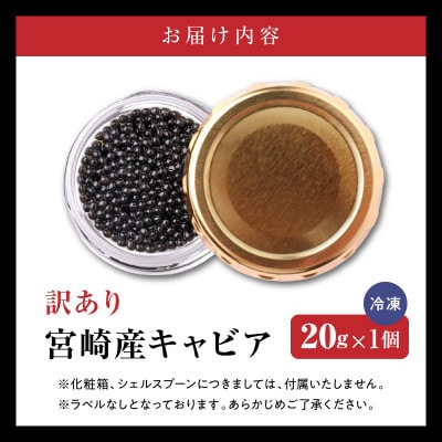 【数量限定】訳あり 宮崎県産 熟成キャビア20g お試しパック(延岡市)