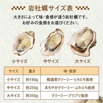 延岡産天然岩牡蠣(生食用)3kg(中)