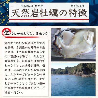 延岡産天然岩牡蠣(生食用)5kg(小)