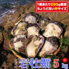 九州地方 牡蠣 カキ のお礼品 返礼品一覧 ふるさと納税サイト さとふる