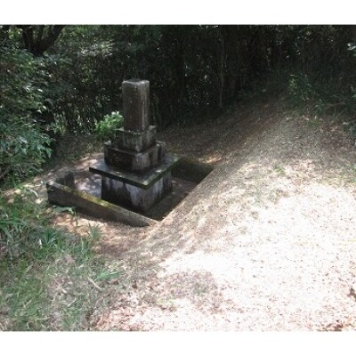 墓参り・掃除・草取り・代行サービス(敷地周辺草刈り込)