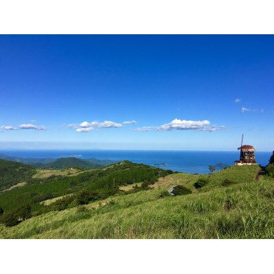 八崎牛の熟成モモスライス　500g