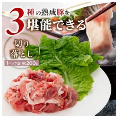 宮崎県産熟成豚よくばり3種セットB-1