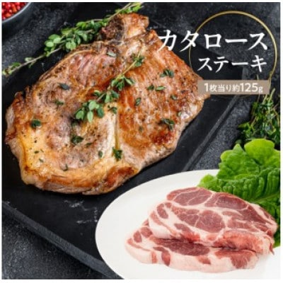 宮崎県産熟成豚よくばり3種セットB-1