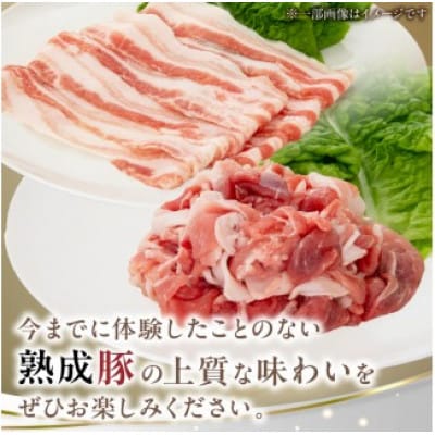 宮崎県産熟成豚よくばり2種セットA