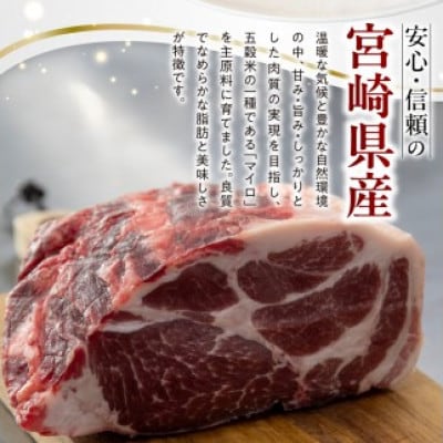 宮崎県産熟成豚 厚切りロースステーキセット 約125g×6枚