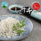宮崎産こだわりのしらす丼セット5食分 漁港前の工場直売店 老舗の特製しょう油付き
