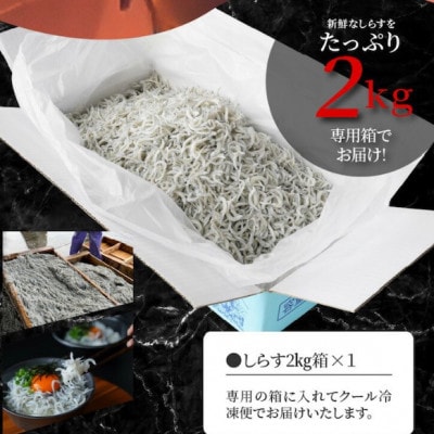 訳あり　しらす　ドドーンと2kg 　宮崎県産　ふわっと食感　程よい塩味　産地直送