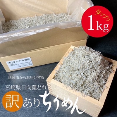 訳あり 宮崎産 ちりめんじゃこ 1kg 産地直送