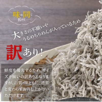 訳あり 宮崎産 ちりめんじゃこ 1kg 産地直送