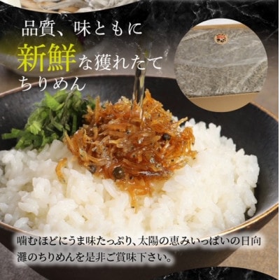 訳あり 宮崎産 ちりめんじゃこ 1kg 産地直送