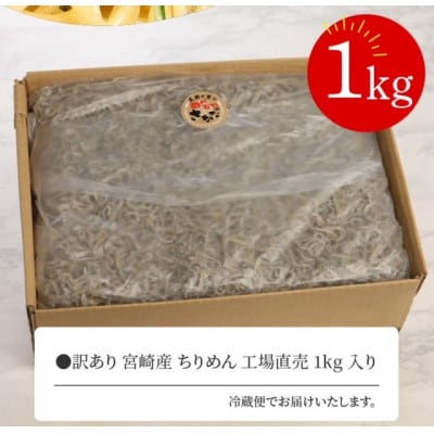 訳あり 宮崎産 ちりめんじゃこ 1kg 産地直送