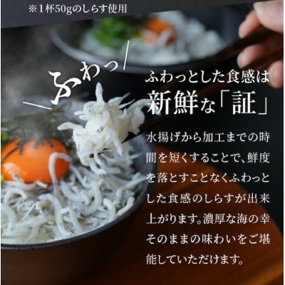 宮崎産　マルナカ海の幸セット　ぷりっぷりのアカスエビ(無頭)・唐揚げ用メヒカリ・しらす丼5食分セット