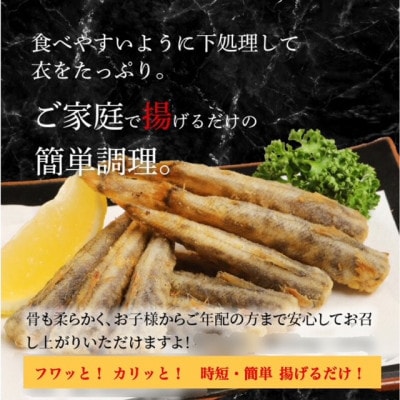 めひかり唐揚げ・めひかりみりん干し　宮崎県日向灘深海魚セット
