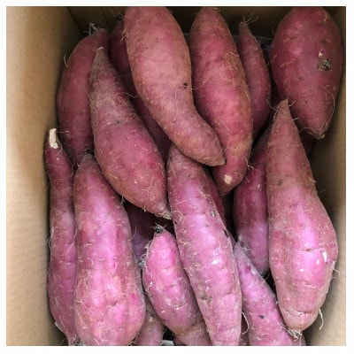 【栽培期間中農薬不使用】さつまいも(紅はるか)5kg