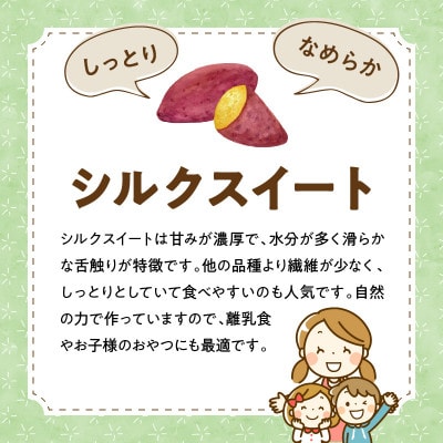 干し芋 シルクスイート 100g×1袋