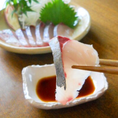 延岡産活〆真鯛とシマアジの豪華お刺身セット お礼品詳細 ふるさと納税なら さとふる 延岡産活〆真鯛とシマアジの豪華お刺身セット お礼品詳細 ふるさと納税なら さとふる