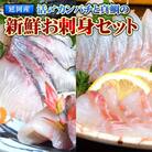 延岡産活〆カンパチと真鯛の新鮮お刺身セット