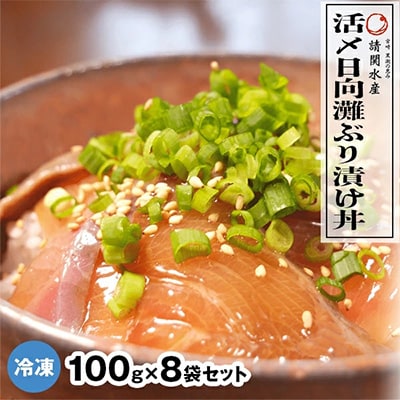 日向灘ブリ漬け丼8食セット(8パック)