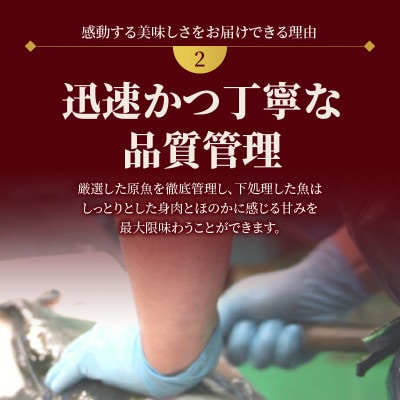延岡産活〆マダイと生サーモンの海鮮丼/2種食べ比べセット(8パック入り)