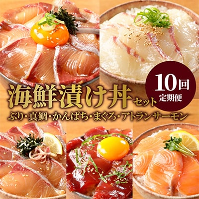 【毎月定期便】【ふるさと納税】日向灘 日向灘 海鮮漬け丼 バラエティ全10回