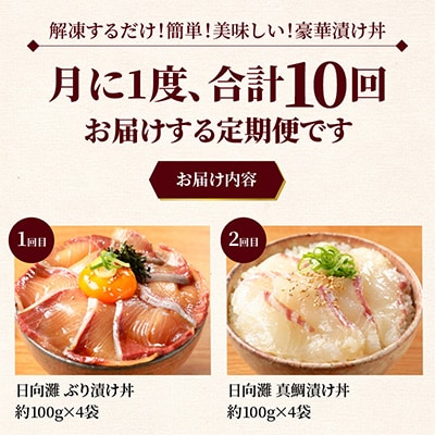 【毎月定期便】【ふるさと納税】日向灘 日向灘 海鮮漬け丼 バラエティ全10回