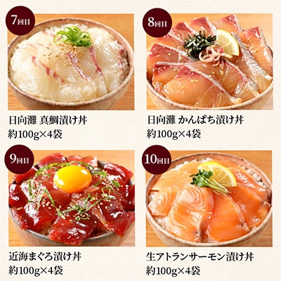 【毎月定期便】【ふるさと納税】日向灘 日向灘 海鮮漬け丼 バラエティ全10回
