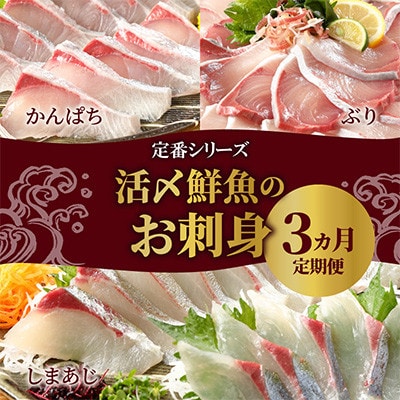 【毎月定期便】【ふるさと納税】活〆鮮魚のお刺身全3回