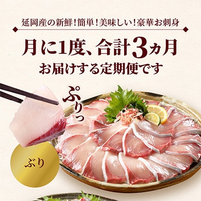 【毎月定期便】【ふるさと納税】活〆鮮魚のお刺身全3回
