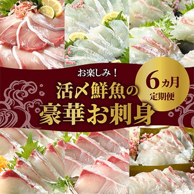【毎月定期便】【ふるさと納税】活〆鮮魚のお刺身全6回