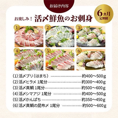 【毎月定期便】【ふるさと納税】活〆鮮魚のお刺身全6回