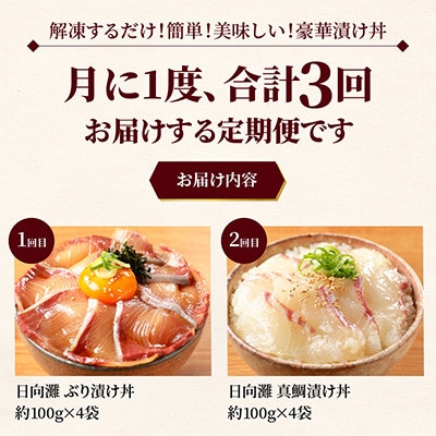 【毎月定期便】日向灘 海鮮漬け丼 バラエティ(延岡市)全3回