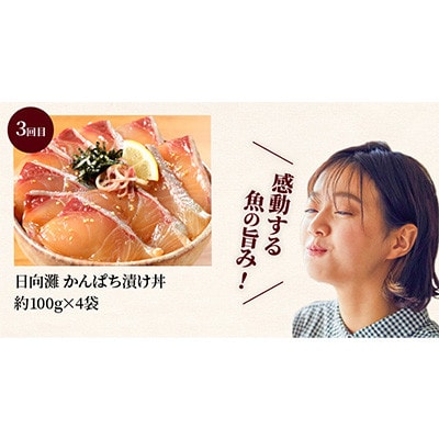 【毎月定期便】日向灘 海鮮漬け丼 バラエティ(延岡市)全3回