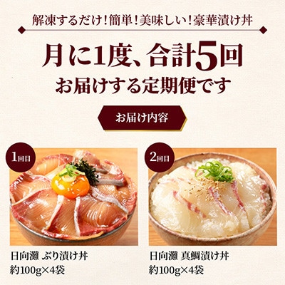 【毎月定期便】【ふるさと納税】日向灘 海鮮漬け丼 バラエティ全5回