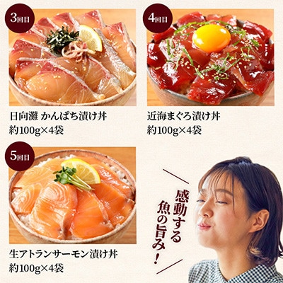 【毎月定期便】【ふるさと納税】日向灘 海鮮漬け丼 バラエティ全5回