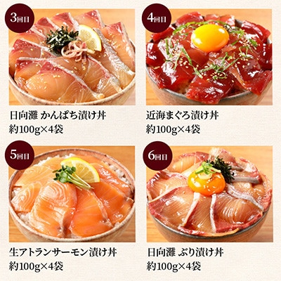 【毎月定期便】【ふるさと納税】日向灘 海鮮漬け丼 バラエティ全10回
